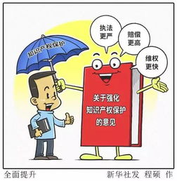 金華出臺知識產權新政，企業可享多項優惠政策與服務支持