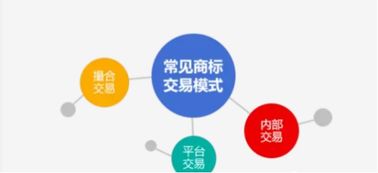 探索知識產權證券化，建設交易中心 推動知識產權服務高質量發展